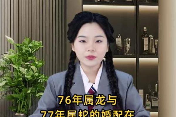 1977年2月4日属蛇还是属龙 1977年2月12日属蛇还是属龙