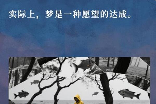 8个梦境证明你有前世(8个梦境证明你有前世图片)