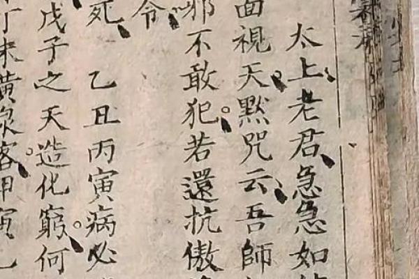 走财闯北无功名”打一生肖最佳准确答案及解析，独家秘籍