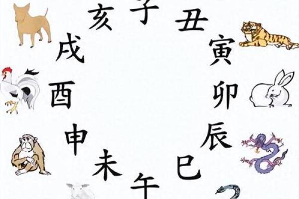 七石八焦各一方谜语最佳生肖答案是什么，最新方法分享