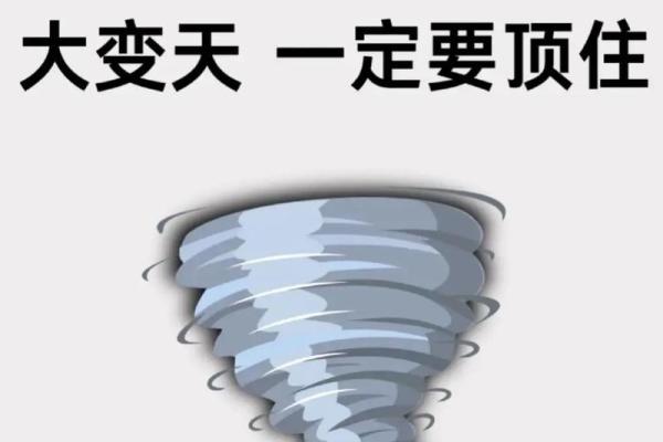 紫气东来代表什么生肖最准确解释，新手必学