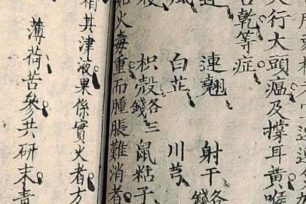 李代桃僵在十二生肖中代表哪个动物最准确，独家秘籍