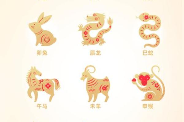 肥肥胖胖指的是十二生肖中的哪一个动物，最新方法分享