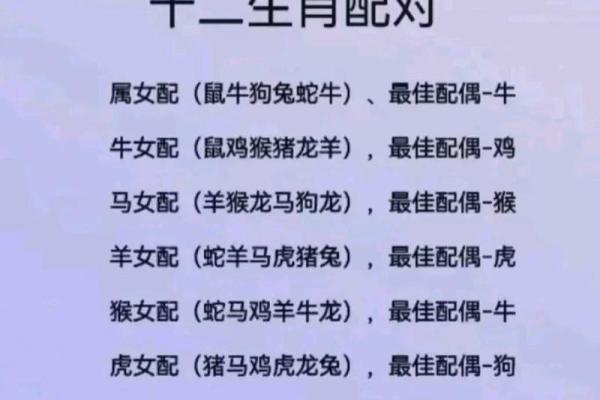一三一四中本期”打一生肖的准确答案及解析，新手必学