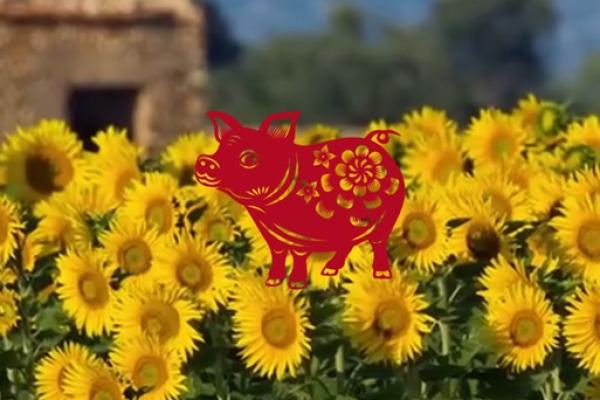 格外挺拔”对应的生肖动物是哪个，不看后悔