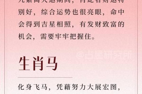 不足回旋”对应的生肖动物解析，必看攻略