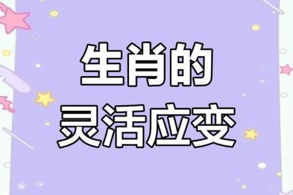 不足回旋”对应的生肖动物解析，必看攻略