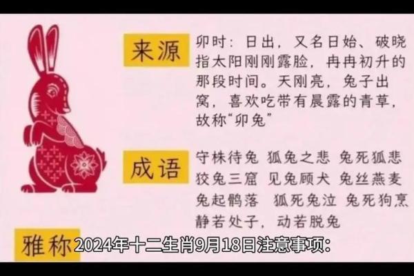 兔死狐悲对应的生肖动物有哪些民间传说，新手必学