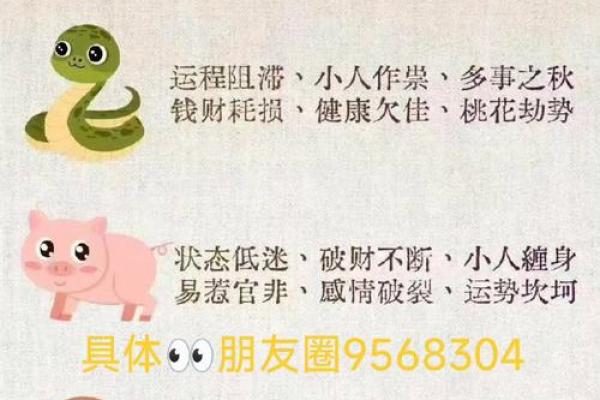 如影随形对应的生肖动物有哪些，独家秘籍