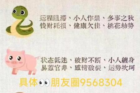 如影随形对应的生肖动物有哪些，独家秘籍