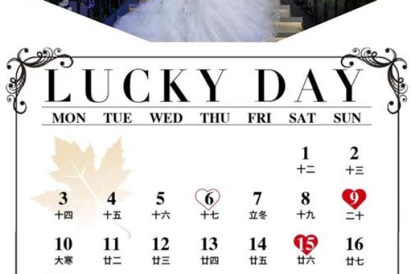 2月登记结婚领证吉日(2025年2月登记领证好日子)