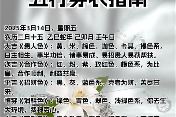 五行穿衣app官方正版下载地址，高手技巧