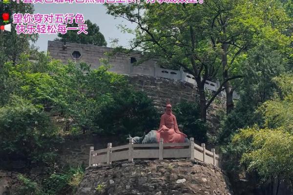 穿衣颜色2025年11月14日五行搭配小白必须懂