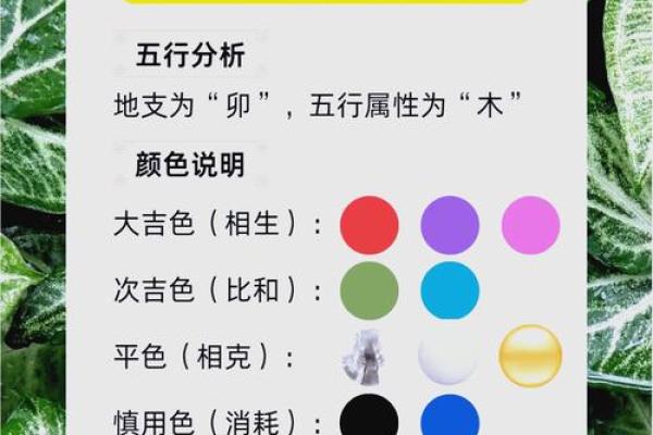 今日五行穿衣颜色搭配指南与运势提升建议，详细教程
