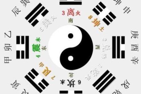 93年属鸡结婚黄道吉日(93年属鸡结婚黄道吉日是哪几天)