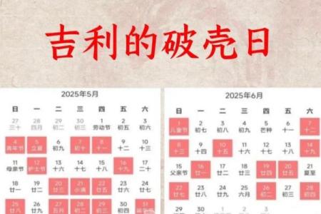 2025年属蛇人的搬家吉日有哪些(2025年属蛇人搬家吉日时辰)