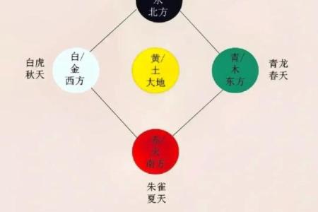 五行穿衣每日幸运色查询及搭配禁忌解析，小白也能学会