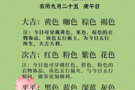 2025年12月13日穿衣颜色五行搭配刷新认知