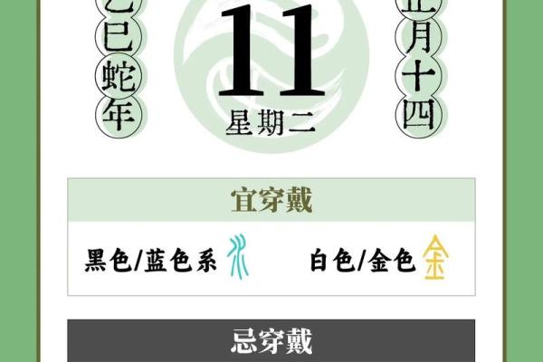 2023年11月24日五行穿衣旺运颜色搭配指南，必看攻略