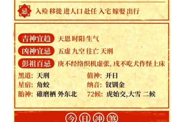 网易五行穿衣每日指南2023年12月12日运势解析，终极指南