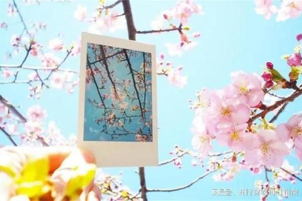 穿衣颜色2025年9月30日五行搭配解决全过程细节