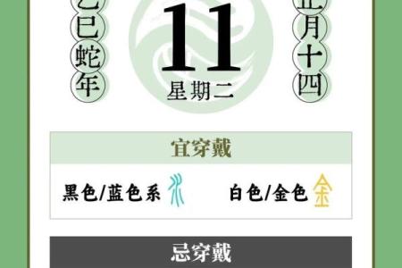 2023年11月24日五行穿衣旺运颜色搭配指南，必看攻略