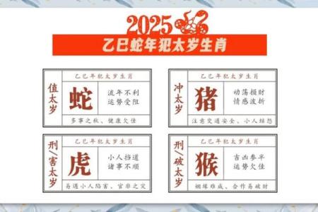 2022年1月9日属相与五行穿衣禁忌查询，最新方法分享