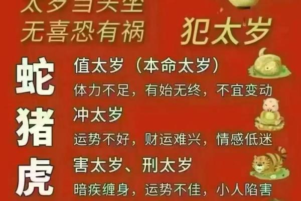 2025年12月14日五行穿衣小白必学秘？