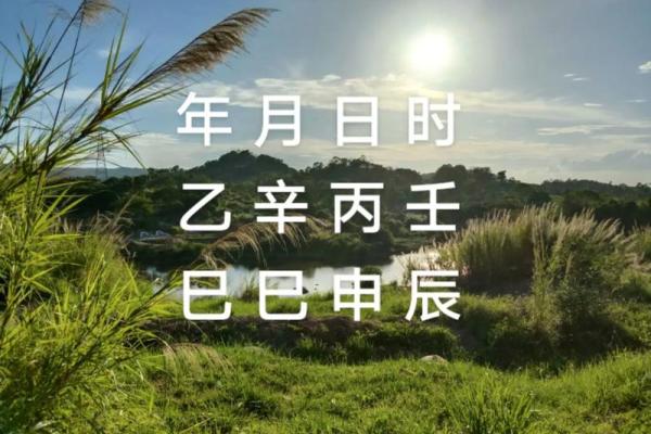 1981年5月31日农历是多少 1981年5月31日生日命运
