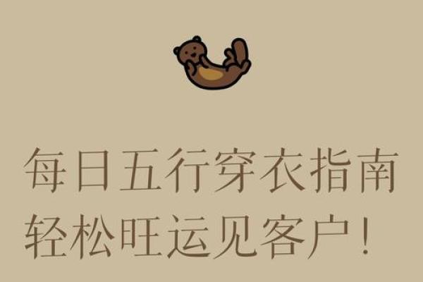 2021年11月13日五行穿衣颜色搭配指南，独家秘籍