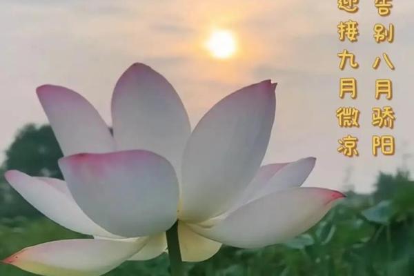2024年5月13日五行穿衣颜色搭配旺运指南，新手必学