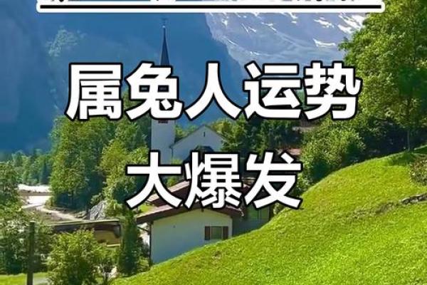 2025年属兔人搬家吉日(2025年属兔人搬家吉日有哪几天)