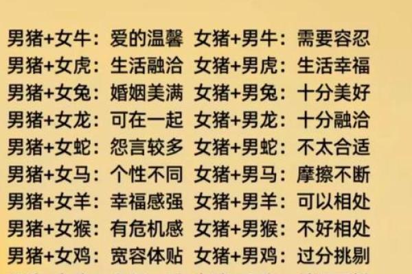 96男鼠97女牛结婚吉日(96男鼠97女牛结婚好不好)