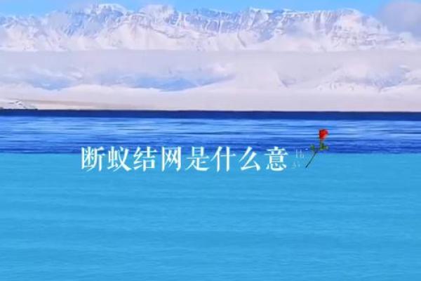 2025年5月断蚁吉日 断蚁什么意思