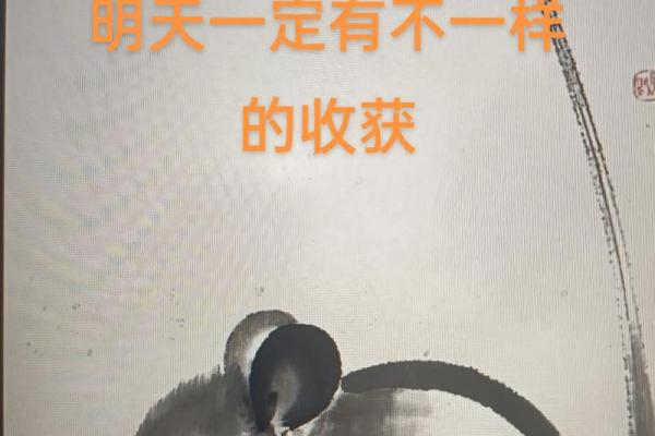 96年属鼠人搬家吉日(1996年属鼠最佳)