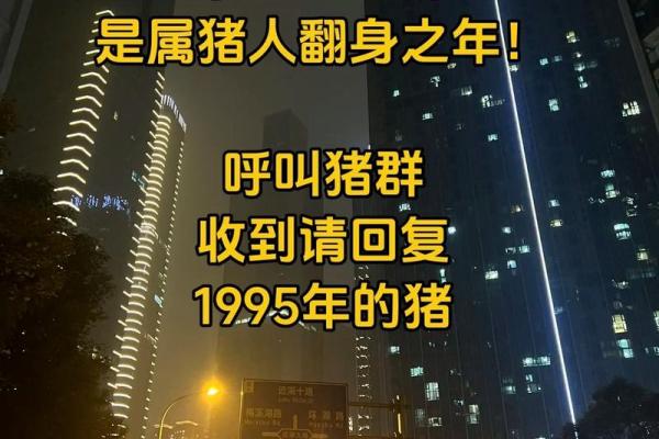 95年属猪女结婚吉日(95年属猪女2025年结婚哪个日子好)