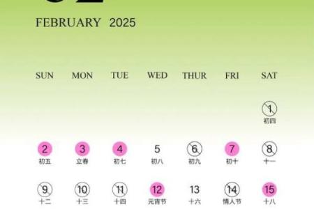 2025年农历二月结婚吉日表(2025年二月的日历表)