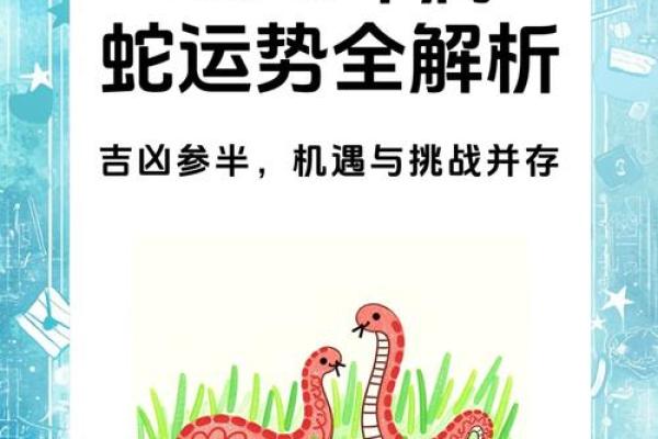 麦玲玲2013年蛇年运程详解，属蛇人运势如何？