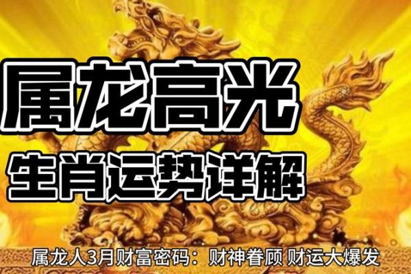 属龙的人2019年全年运势详解，财运事业健康如何？