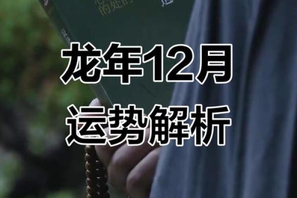 属龙的人2019年全年运势详解，财运事业健康如何？