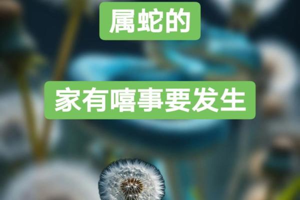 1965年属蛇今年运势