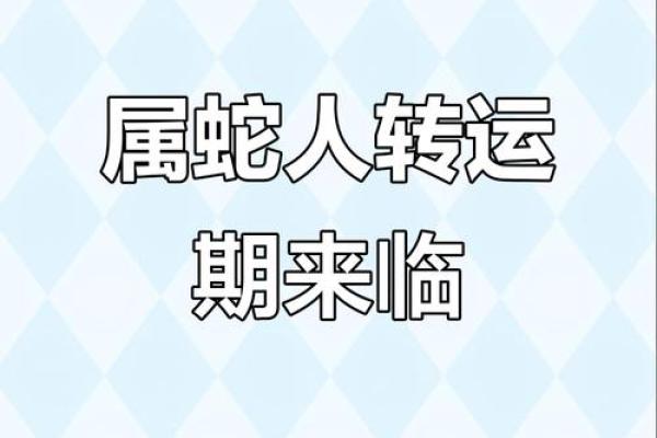 2025年属蛇运程