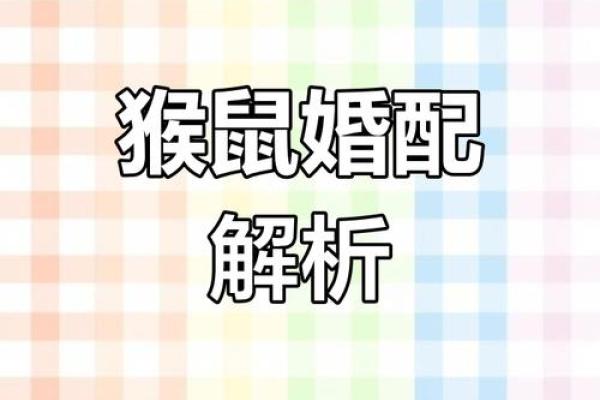属鼠女和什么属相最配婚姻能白头偕老