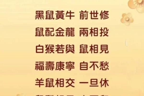 属鼠女和什么属相最配婚姻能白头偕老
