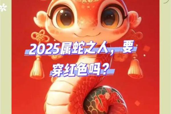 2025年属蛇的幸运色和禁忌色分别是什么请指点