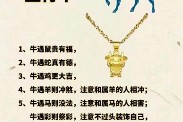 2013年十二生肖整体运势详解，哪个属相在蛇年桃花运最旺事业最顺？