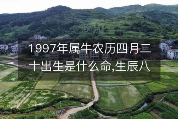 1997年农历新年是什么时候，着一年属什么生肖？
