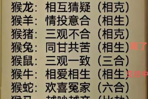 属猴的生肖和哪个属相结婚最幸福长久呢