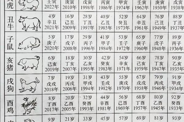 1997年出生的人现在多大了，属什么生肖？