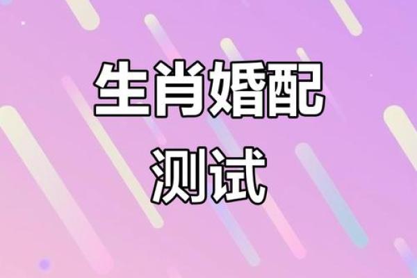 1999年出生的属兔女和哪些生肖最配？详解婚配宜忌与得把眼睛擦亮了